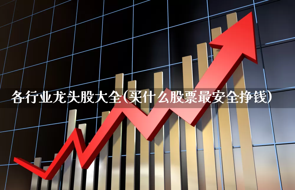 各行业龙头股大全(买什么股票最安全挣钱)_https://www.ccit-cctv.com_科创板_第1张