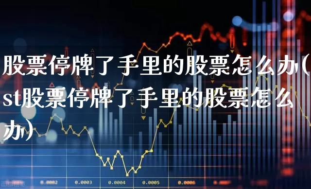 股票停牌了手里的股票怎么办(st股票停牌了手里的股票怎么办)_https://www.ccit-cctv.com_创业板_第1张
