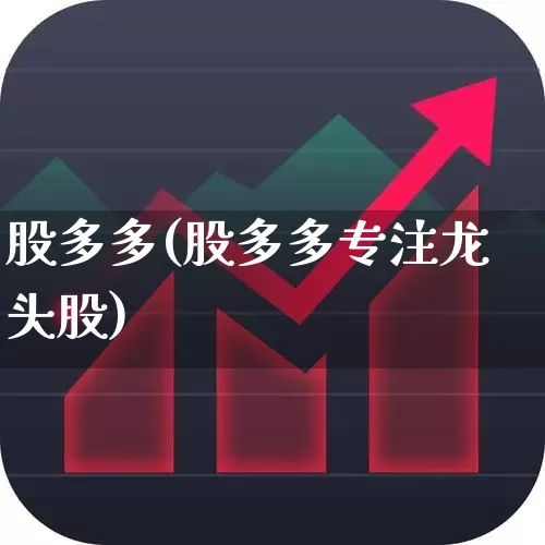 股多多(股多多专注龙头股)_https://www.ccit-cctv.com_北交所_第1张