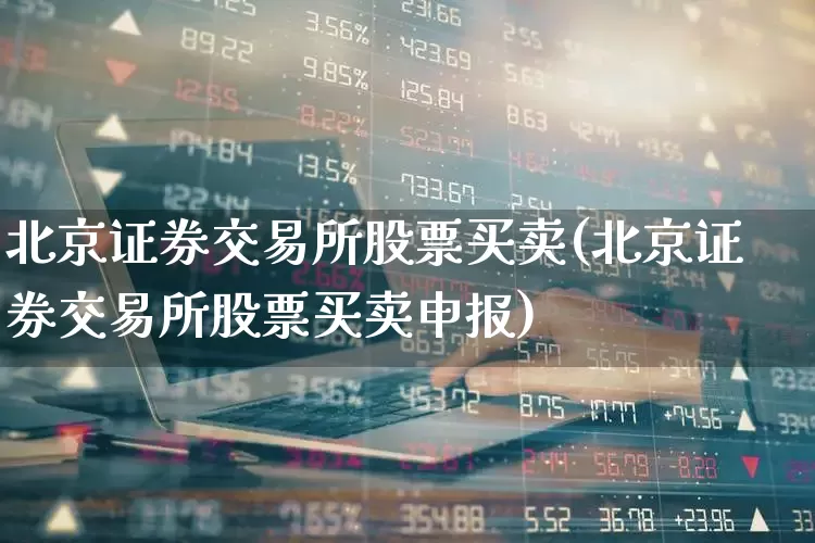 北京证券交易所股票买卖(北京证券交易所股票买卖申报)_https://www.ccit-cctv.com_北交所_第1张