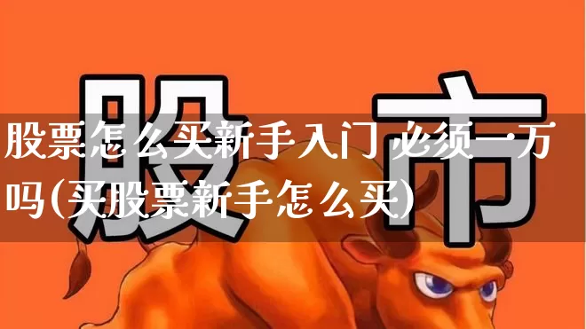 股票怎么买新手入门 必须一万吗(买股票新手怎么买)_https://www.ccit-cctv.com_科创板_第1张