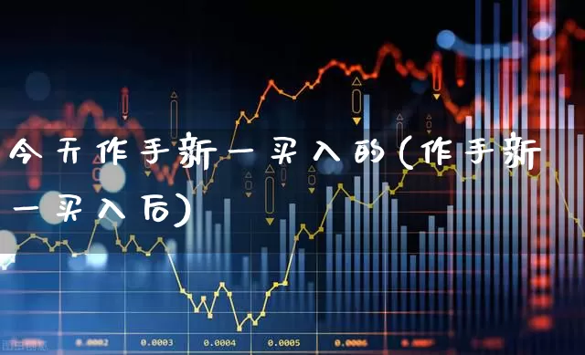 今天作手新一买入的(作手新一买入后)_https://www.ccit-cctv.com_北交所_第1张