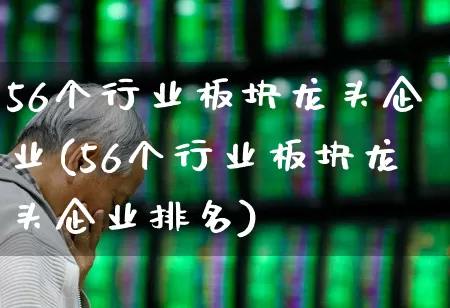 56个行业板块龙头企业(56个行业板块龙头企业排名)_https://www.ccit-cctv.com_北交所_第1张