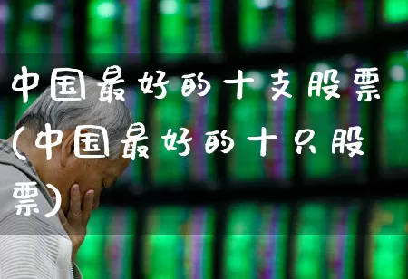 中国最好的十支股票(中国最好的十只股票)_https://www.ccit-cctv.com_创业板_第1张