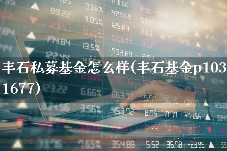 丰石私募基金怎么样(丰石基金p1031677)_https://www.ccit-cctv.com_深交所_第1张