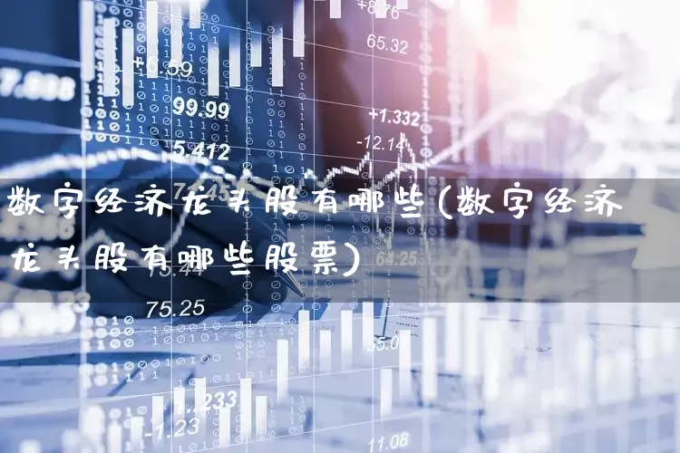 数字经济龙头股有哪些(数字经济龙头股有哪些股票)_https://www.ccit-cctv.com_深交所_第1张