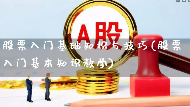 股票入门基础知识与技巧(股票入门基本知识教学)_https://www.ccit-cctv.com_创业板_第1张