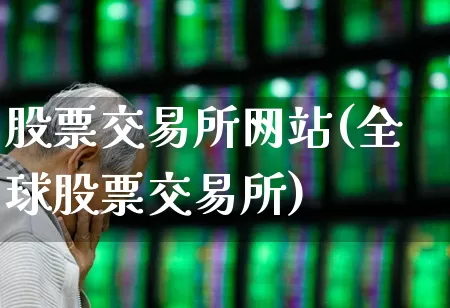 股票交易所网站(全球股票交易所)_https://www.ccit-cctv.com_创业板_第1张