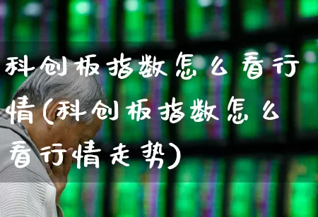 科创板指数怎么看行情(科创板指数怎么看行情走势)_https://www.ccit-cctv.com_创业板_第1张