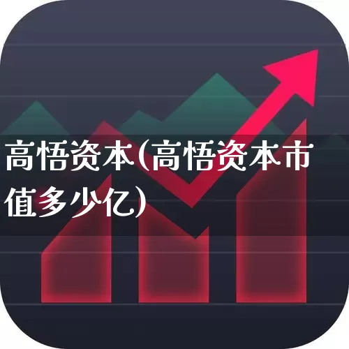 高悟资本(高悟资本市值多少亿)_https://www.ccit-cctv.com_科创板_第1张