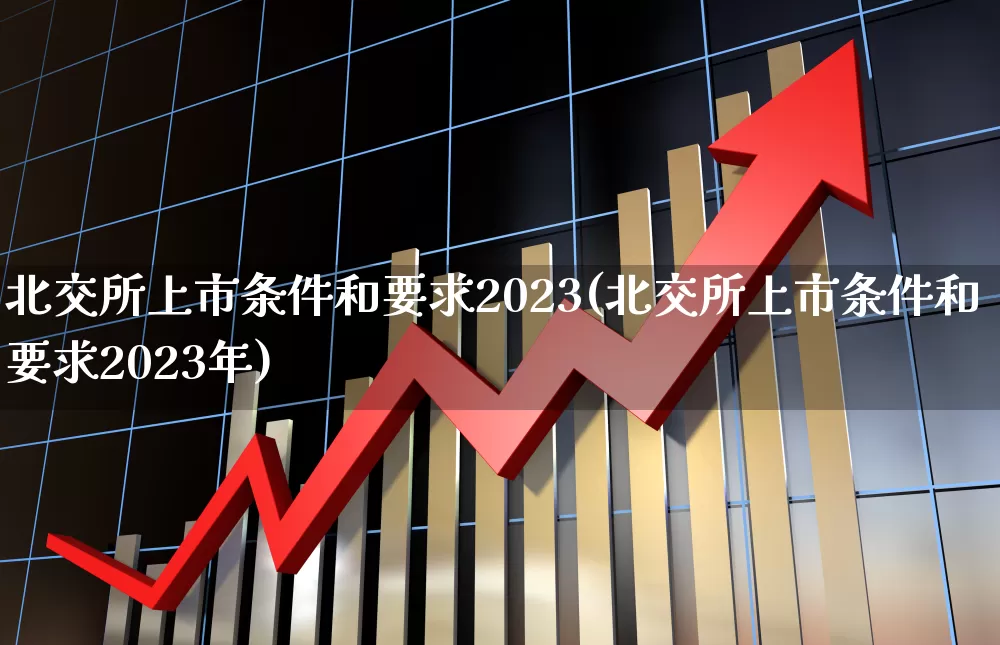 北交所上市条件和要求2023(北交所上市条件和要求2023年)_https://www.ccit-cctv.com_深交所_第1张