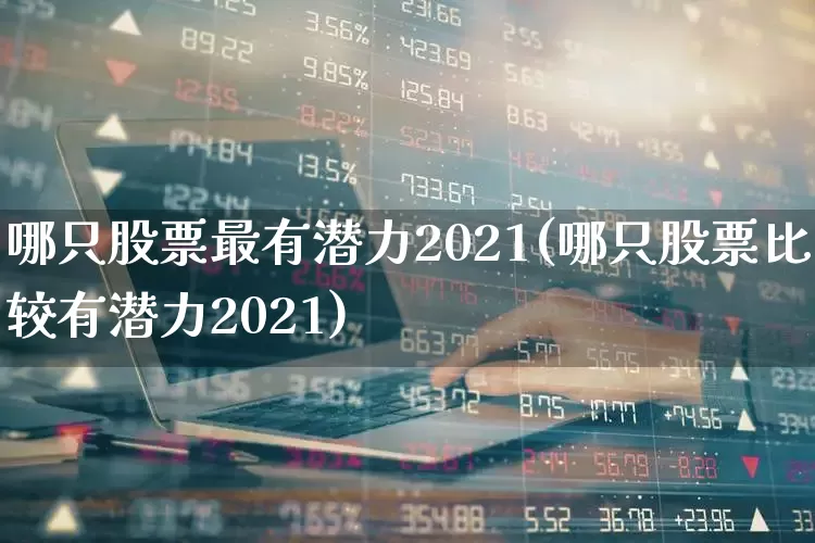 哪只股票最有潜力2021(哪只股票比较有潜力2021)_https://www.ccit-cctv.com_上交所_第1张