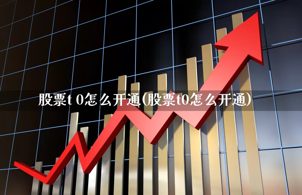 股票t 0怎么开通(股票t0怎么开通)_https://www.ccit-cctv.com_深交所_第1张