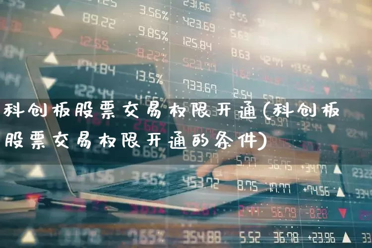 科创板股票交易权限开通(科创板股票交易权限开通的条件)_https://www.ccit-cctv.com_上交所_第1张