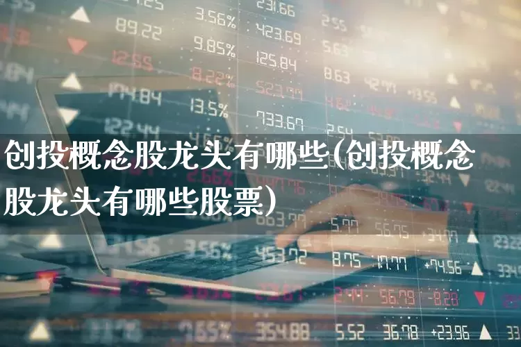 创投概念股龙头有哪些(创投概念股龙头有哪些股票)_https://www.ccit-cctv.com_科创板_第1张