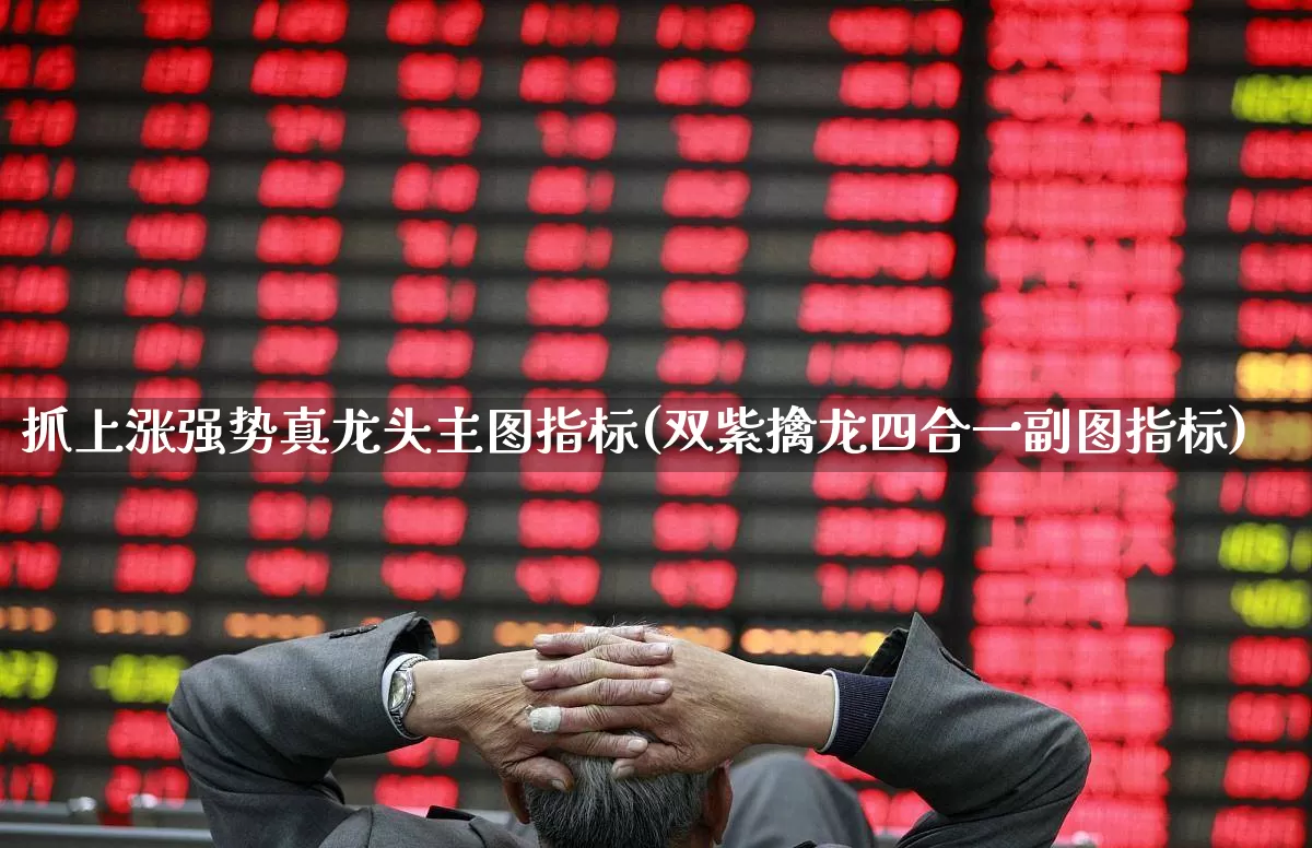 抓上涨强势真龙头主图指标(双紫擒龙四合一副图指标)_https://www.ccit-cctv.com_北交所_第1张