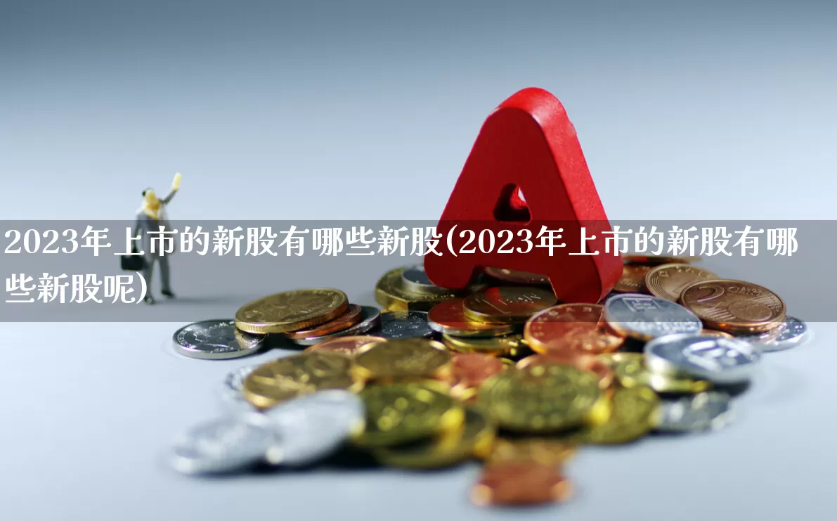 2023年上市的新股有哪些新股(2023年上市的新股有哪些新股呢)_https://www.ccit-cctv.com_创业板_第1张