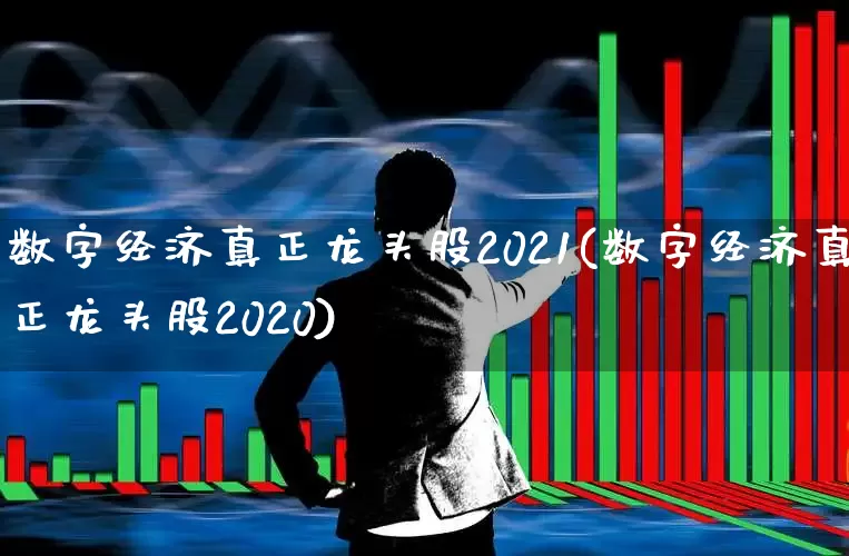 数字经济真正龙头股2021(数字经济真正龙头股2020)_https://www.ccit-cctv.com_创业板_第1张