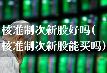 核准制次新股好吗(核准制次新股能买吗)_https://www.ccit-cctv.com_深交所_第1张