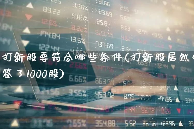 打新股要符合哪些条件(打新股居然中签了1000股)_https://www.ccit-cctv.com_北交所_第1张