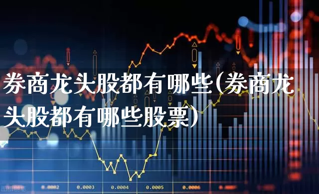 券商龙头股都有哪些(券商龙头股都有哪些股票)_https://www.ccit-cctv.com_深交所_第1张