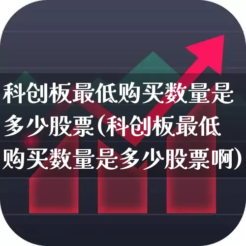 科创板最低购买数量是多少股票(科创板最低购买数量是多少股票啊)_https://www.ccit-cctv.com_深交所_第1张