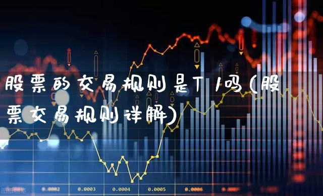 股票的交易规则是T 1吗(股票交易规则详解)_https://www.ccit-cctv.com_北交所_第1张
