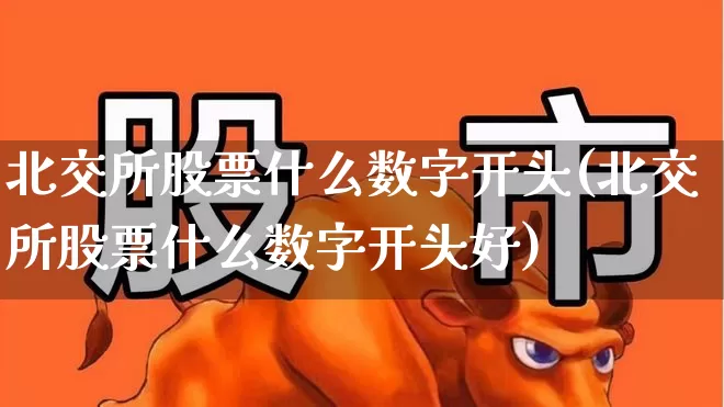 北交所股票什么数字开头(北交所股票什么数字开头好)_https://www.ccit-cctv.com_上交所_第1张