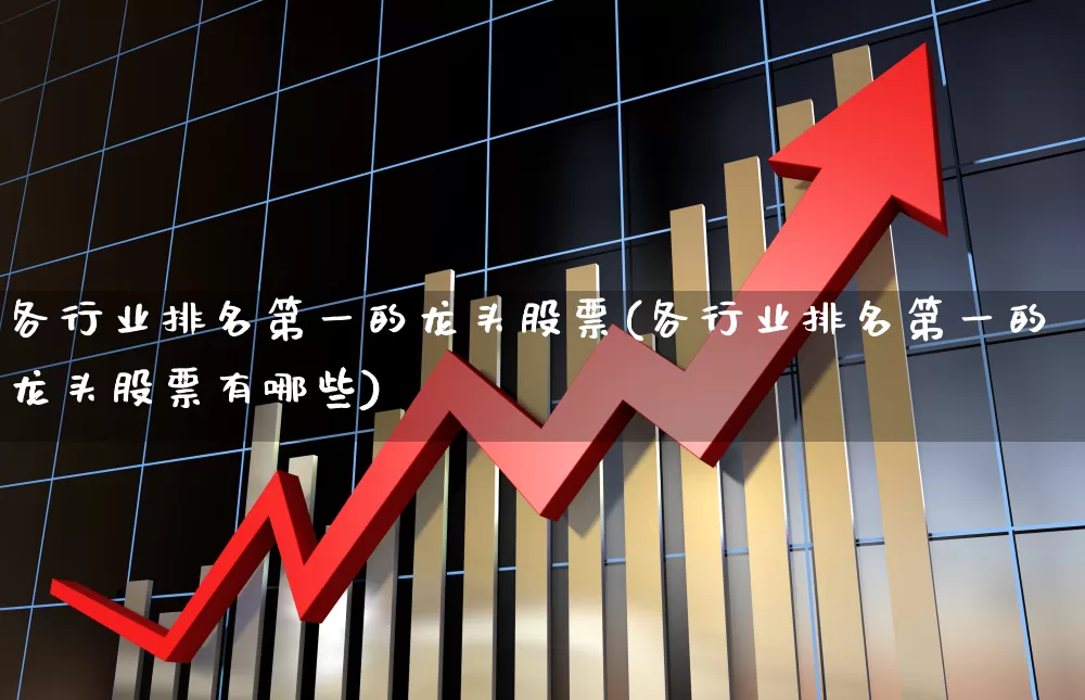 各行业排名第一的龙头股票(各行业排名第一的龙头股票有哪些)_https://www.ccit-cctv.com_科创板_第1张
