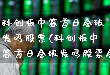 科创板中签首日会破发吗股票(科创板中签首日会破发吗股票会涨吗)_https://www.ccit-cctv.com_创业板_第1张