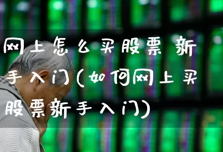 网上怎么买股票 新手入门(如何网上买股票新手入门)_https://www.ccit-cctv.com_科创板_第1张
