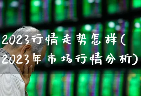 2023行情走势怎样(2023年市场行情分析)_https://www.ccit-cctv.com_创业板_第1张