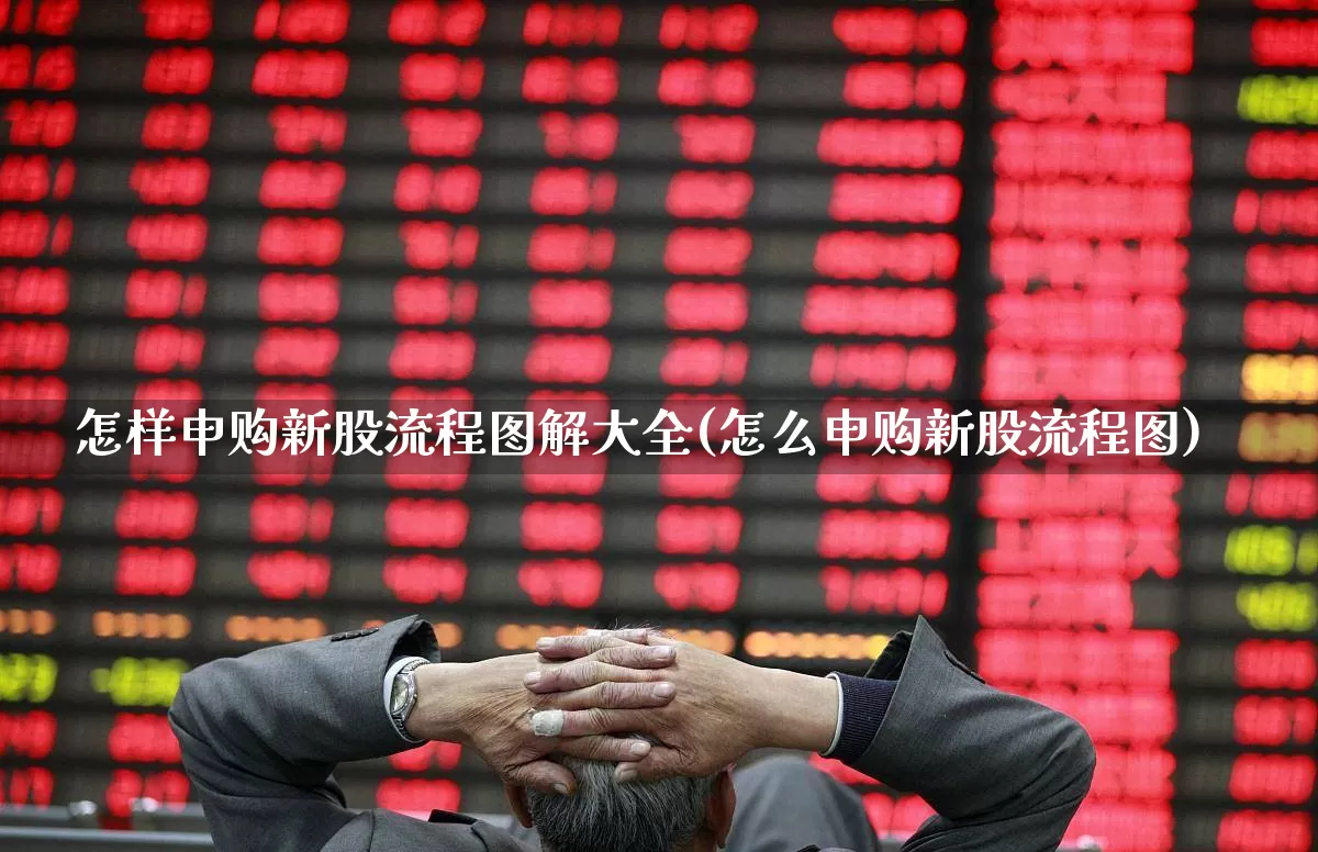 怎样申购新股流程图解大全(怎么申购新股流程图)_https://www.ccit-cctv.com_科创板_第1张