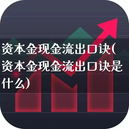资本金现金流出口诀(资本金现金流出口诀是什么)_https://www.ccit-cctv.com_科创板_第1张