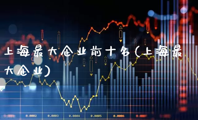 上海最大企业前十名(上海最大企业)_https://www.ccit-cctv.com_深交所_第1张