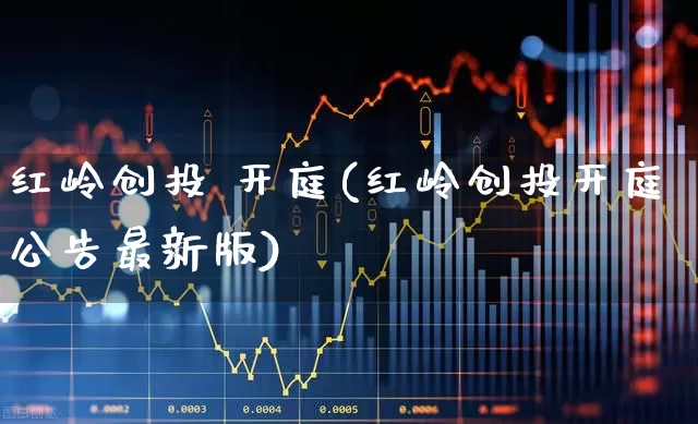 红岭创投 开庭(红岭创投开庭公告最新版)_https://www.ccit-cctv.com_北交所_第1张