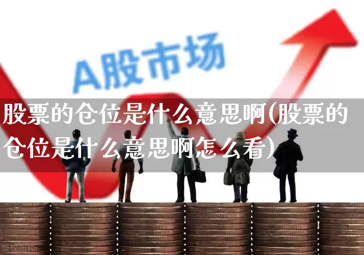 股票的仓位是什么意思啊(股票的仓位是什么意思啊怎么看)_https://www.ccit-cctv.com_北交所_第1张