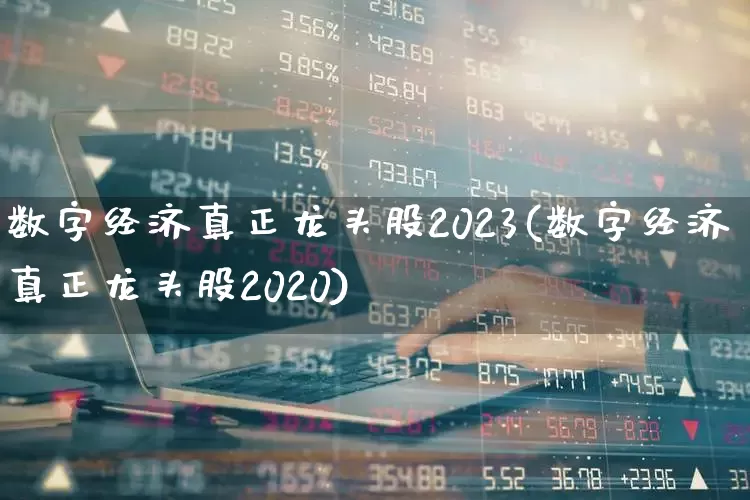 数字经济真正龙头股2023(数字经济真正龙头股2020)_https://www.ccit-cctv.com_北交所_第1张