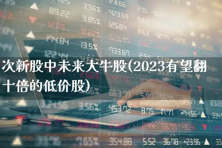 次新股中未来大牛股(2023有望翻十倍的低价股)_https://www.ccit-cctv.com_创业板_第1张