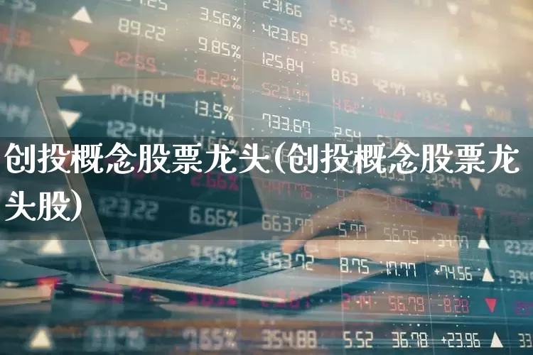 创投概念股票龙头(创投概念股票龙头股)_https://www.ccit-cctv.com_北交所_第1张