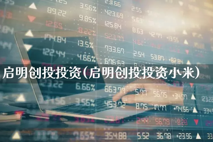 启明创投投资(启明创投投资小米)_https://www.ccit-cctv.com_上交所_第1张