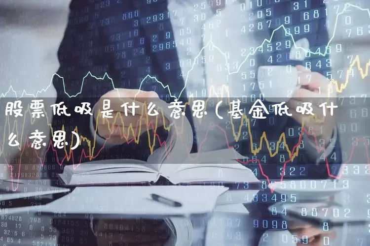 股票低吸是什么意思(基金低吸什么意思)_https://www.ccit-cctv.com_北交所_第1张