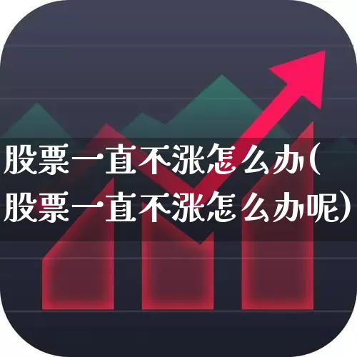 股票一直不涨怎么办(股票一直不涨怎么办呢)_https://www.ccit-cctv.com_北交所_第1张