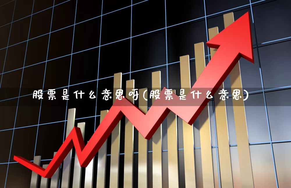 股票是什么意思呀(股票是什么意思)_https://www.ccit-cctv.com_科创板_第1张
