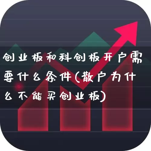 创业板和科创板开户需要什么条件(散户为什么不能买创业板)_https://www.ccit-cctv.com_深交所_第1张