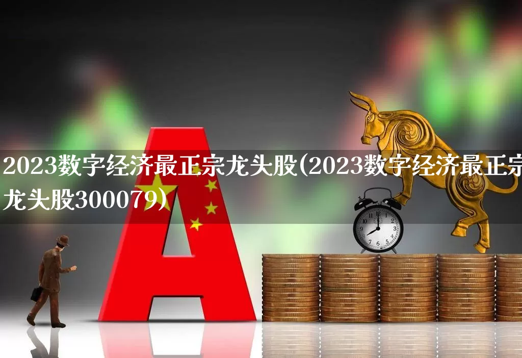 2023数字经济最正宗龙头股(2023数字经济最正宗龙头股300079)_https://www.ccit-cctv.com_科创板_第1张