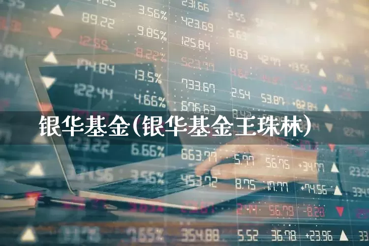 银华基金(银华基金王珠林)_https://www.ccit-cctv.com_北交所_第1张