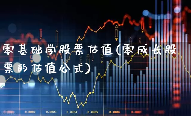 零基础学股票估值(零成长股票的估值公式)_https://www.ccit-cctv.com_科创板_第1张
