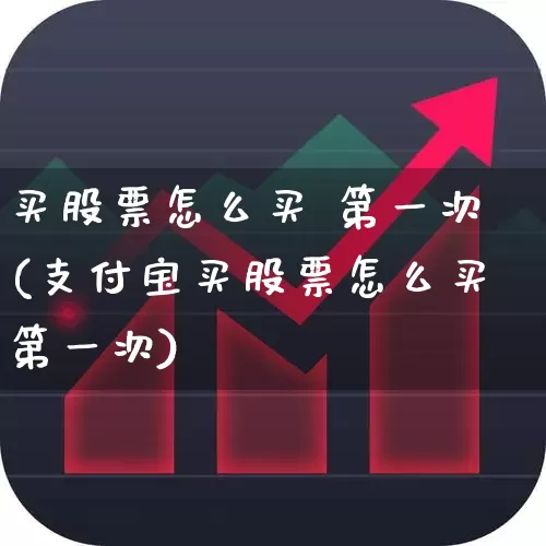 买股票怎么买 第一次(支付宝买股票怎么买第一次)_https://www.ccit-cctv.com_科创板_第1张