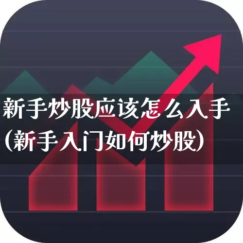 新手炒股应该怎么入手(新手入门如何炒股)_https://www.ccit-cctv.com_创业板_第1张